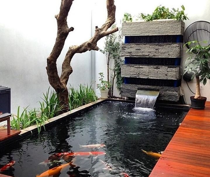 Kolam Ikan Minimalis